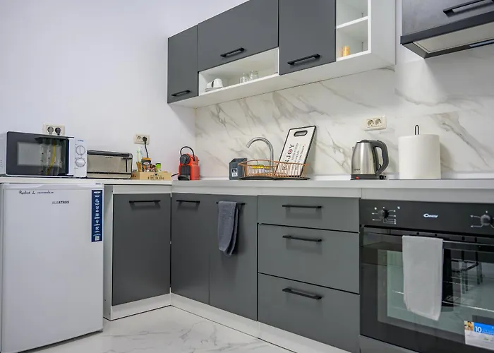 Apartment Fundeni Modern