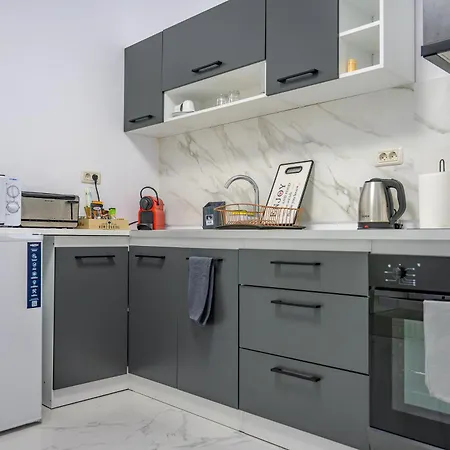 Apartment Fundeni Modern